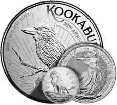 Silver Coins
