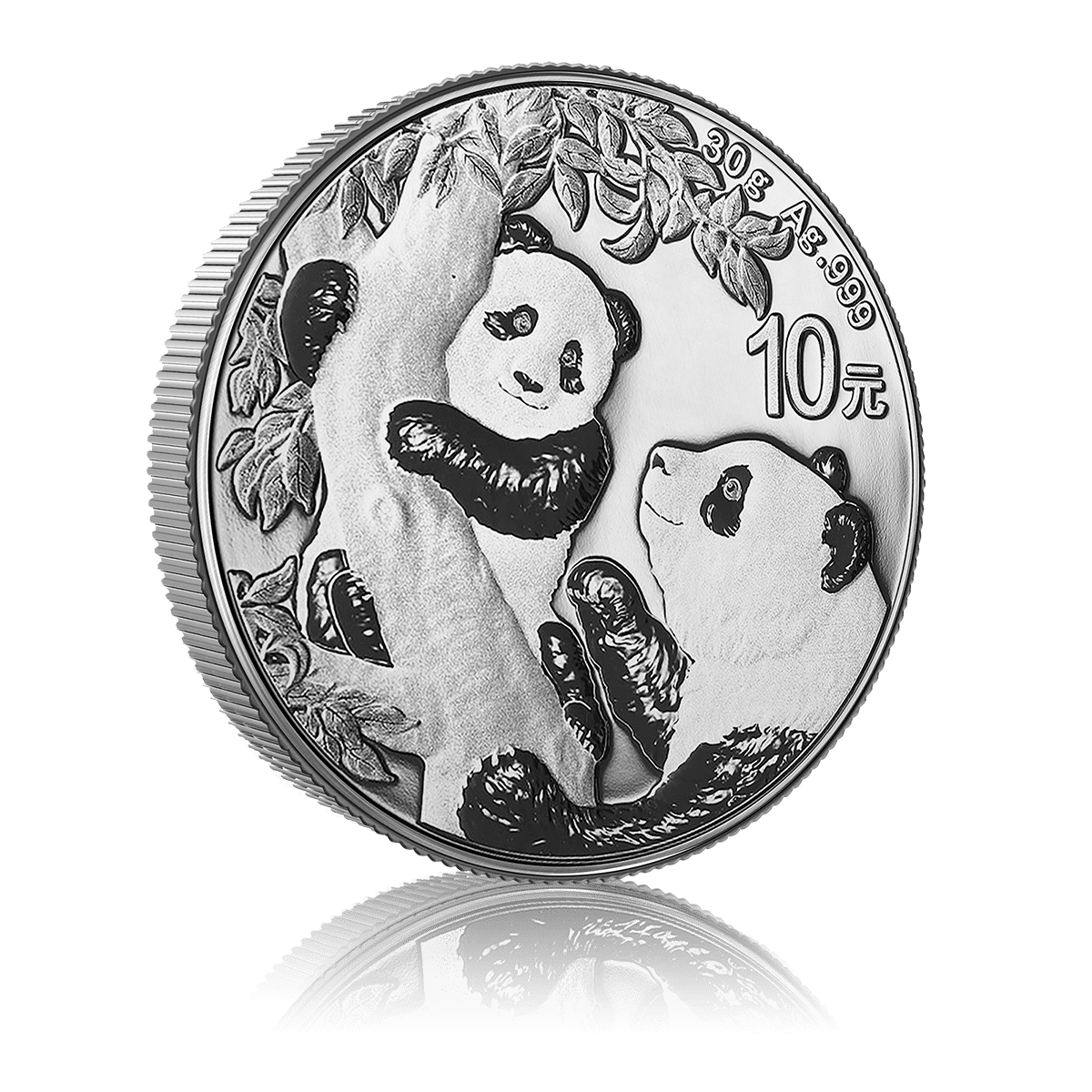 30g Silver Investment Chinese Panda (2021)