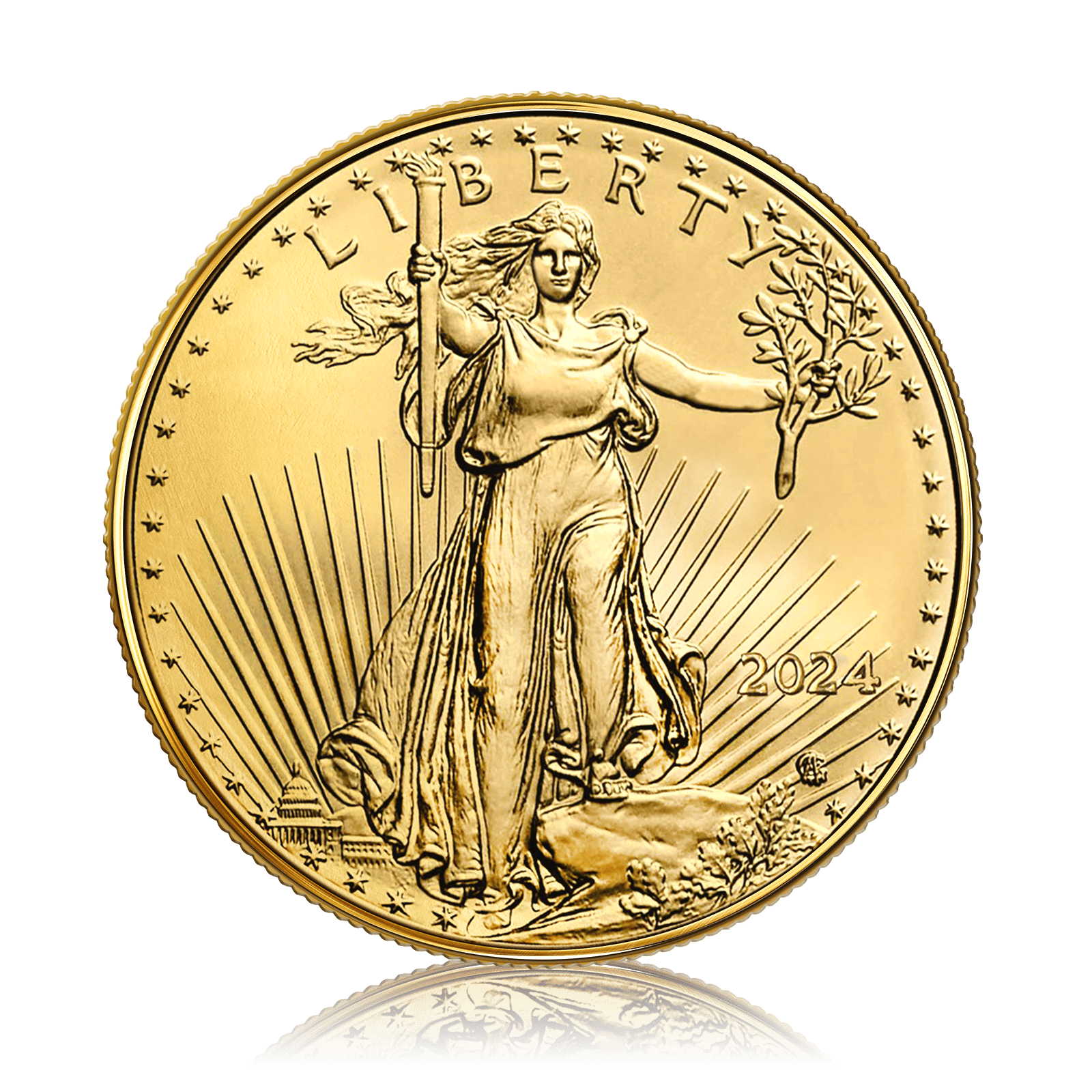 1oz Gold US American Eagle (2024)