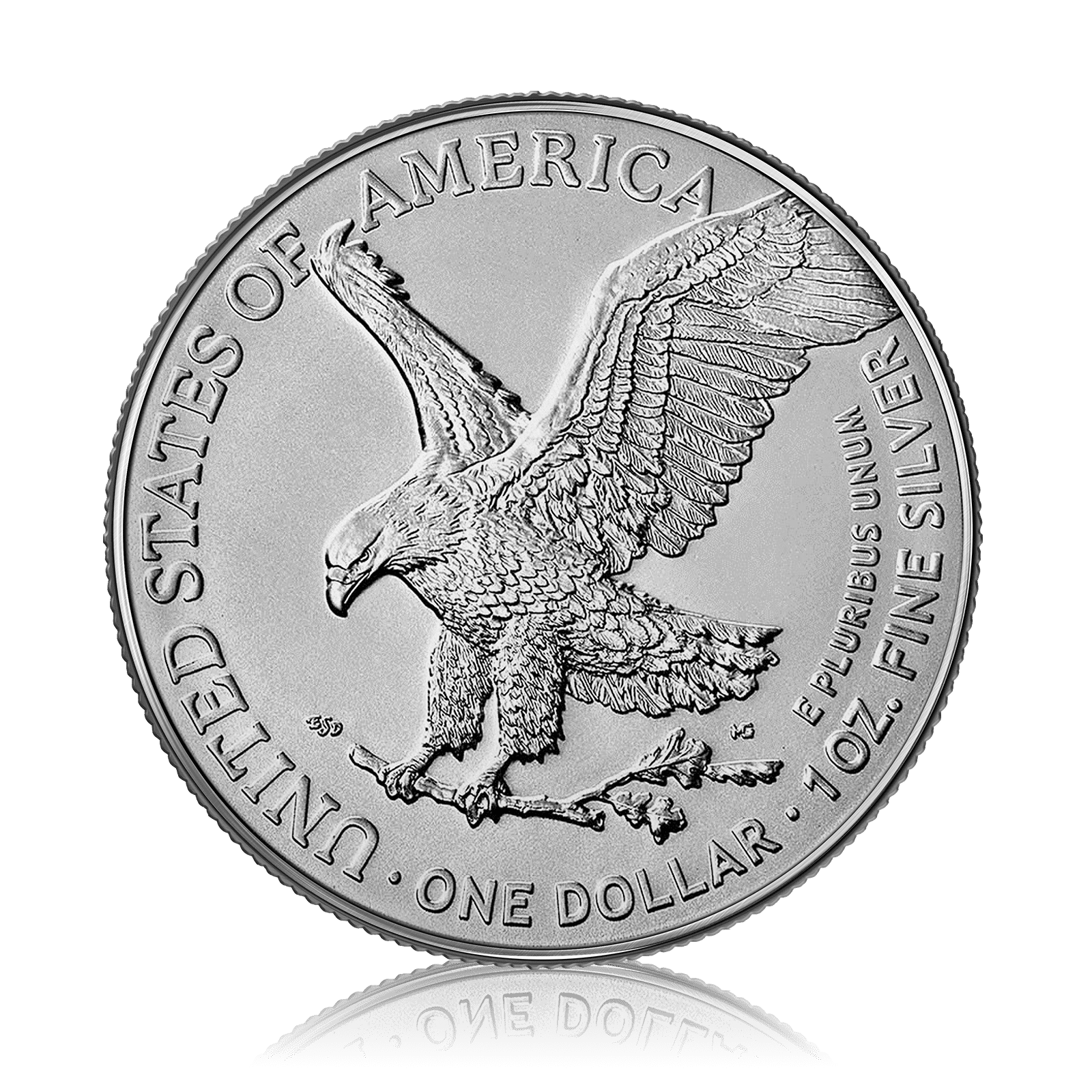 1oz Silver American Eagle (2024)