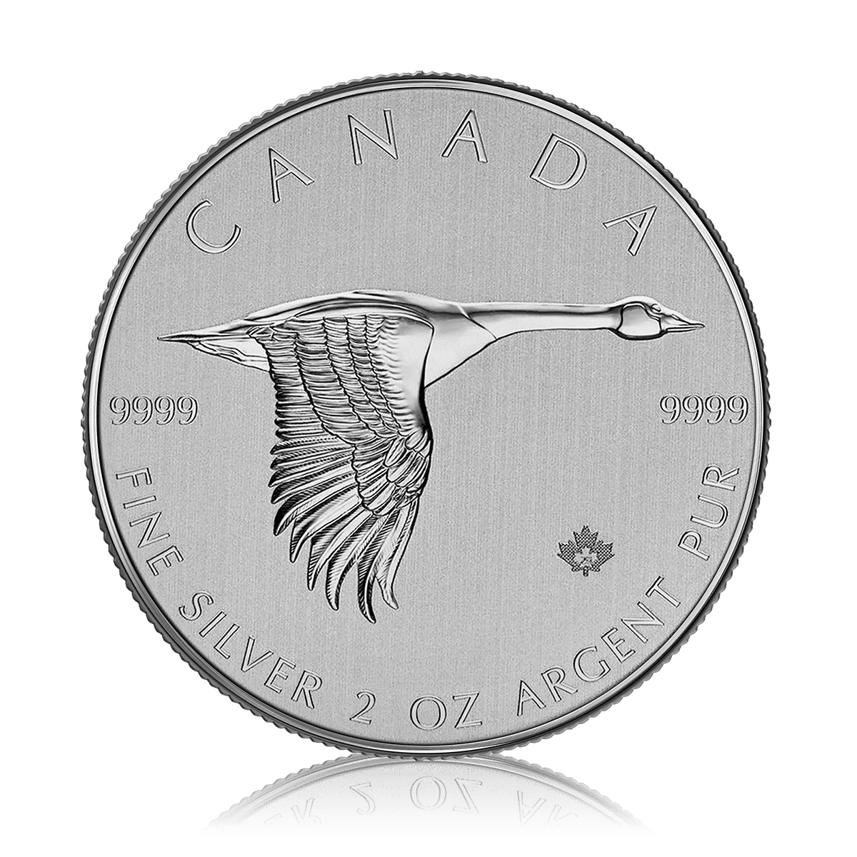 2oz Silver Canada Goose (2020)
