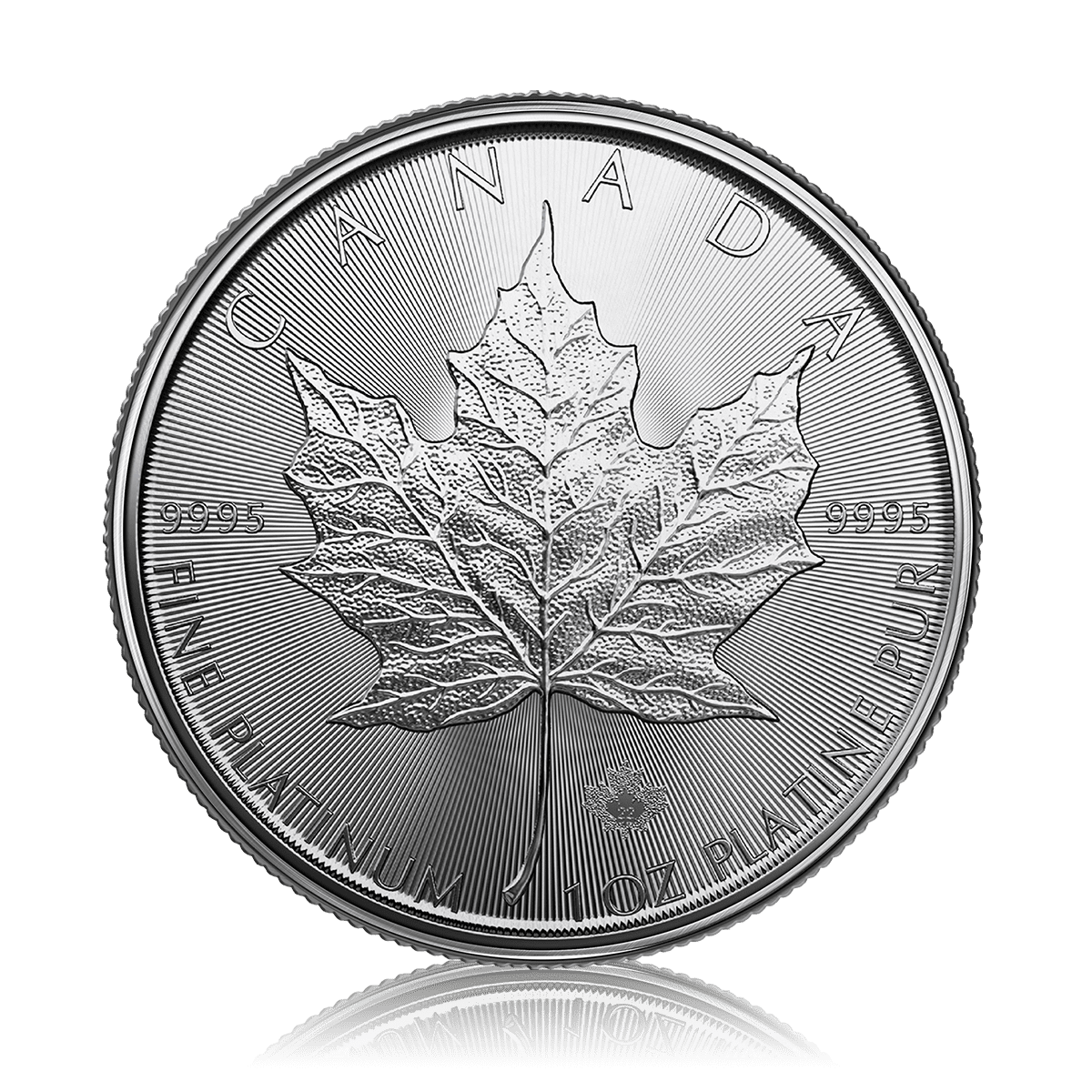 1oz Platinum Maple Leaf (2022)