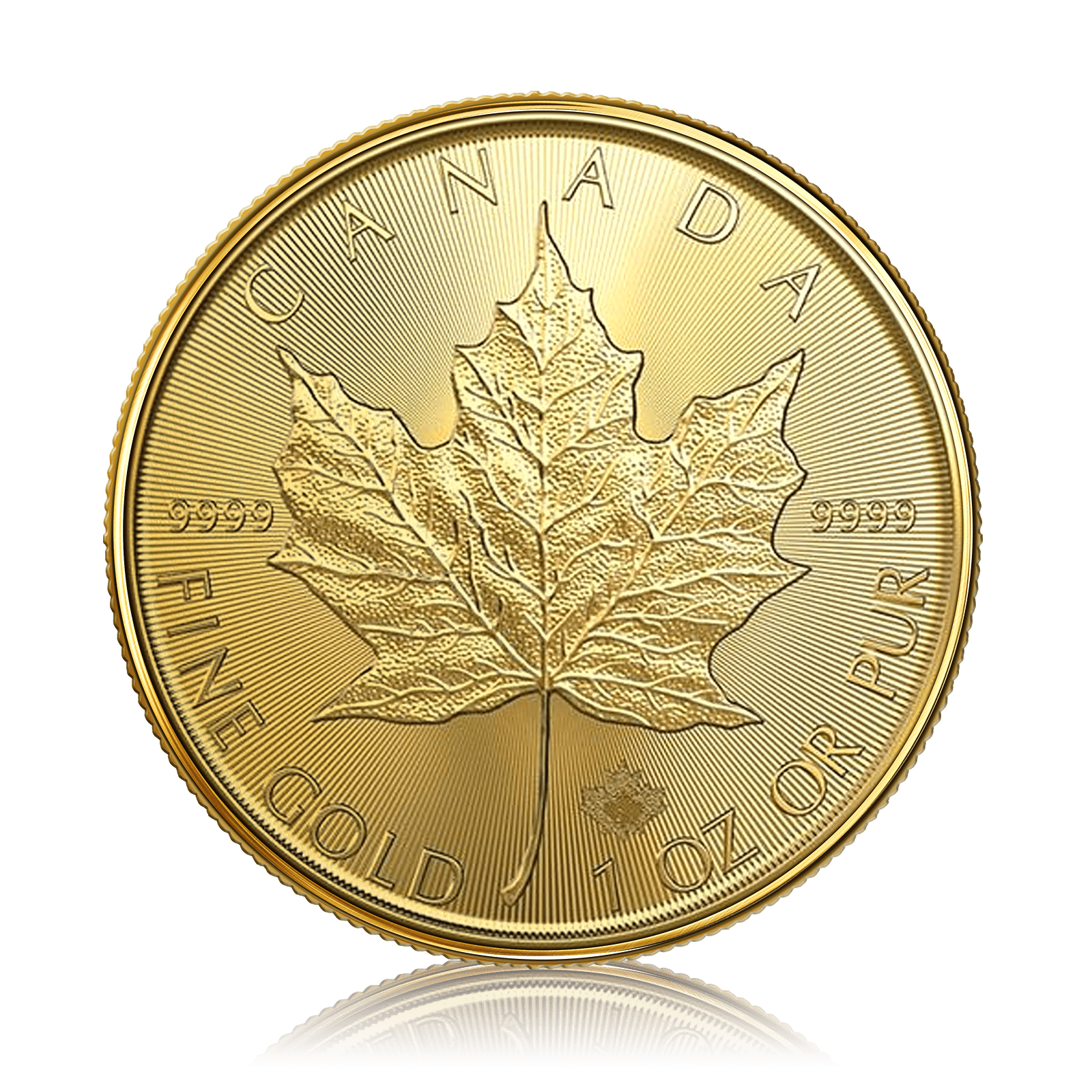 1oz Gold Maple Leaf (2024)