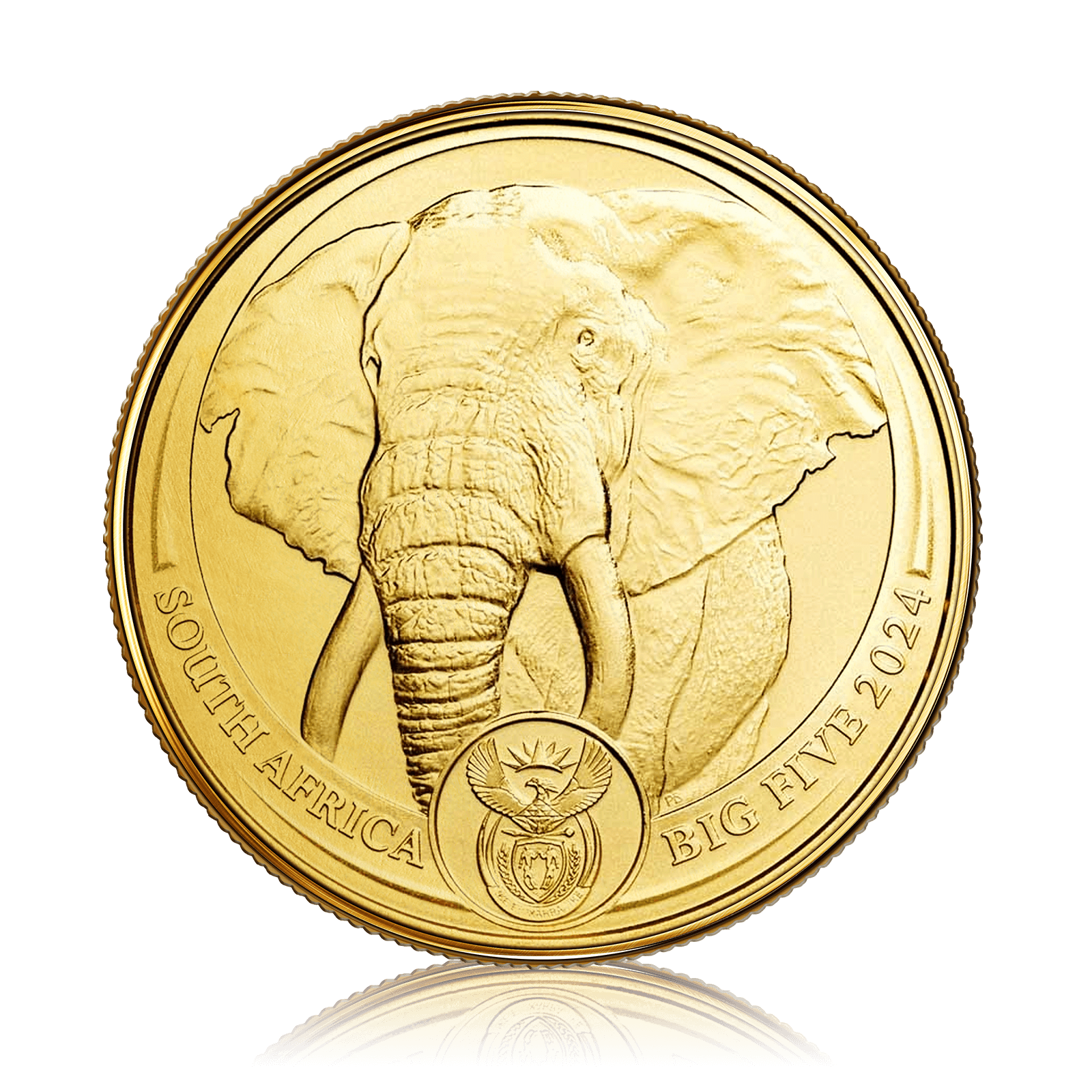 1oz Gold South African Elephant Big Five Series (2024)