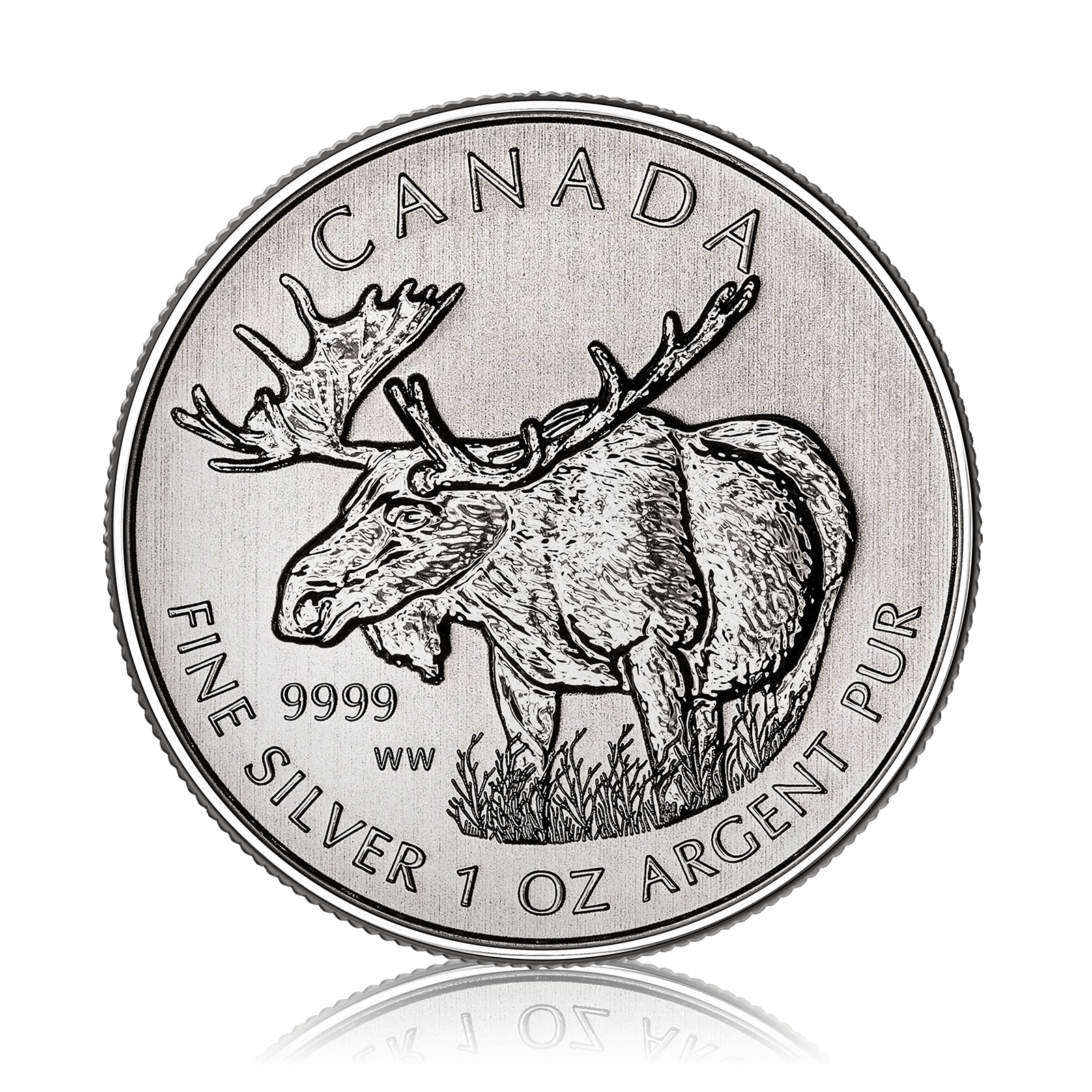 1oz Silver Canadian Mint Majestic Moose (2012)