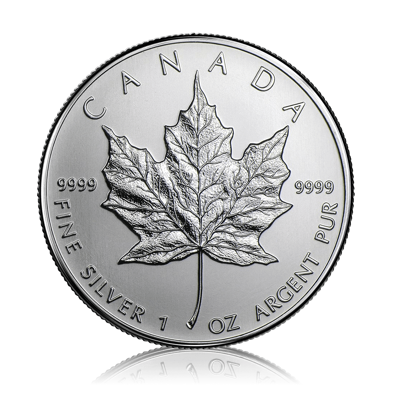 1oz Silver Canadian Maple Leaf (2013)