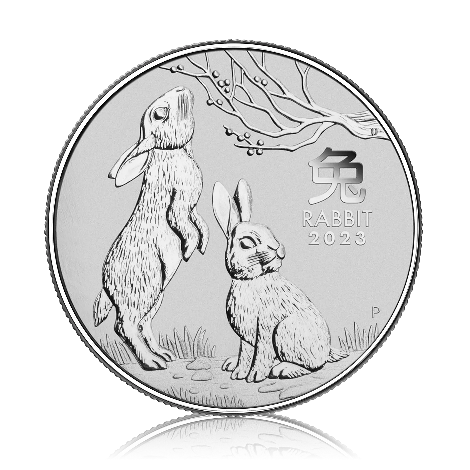 2oz Silver Perth Mint Year of the Rabbit (2023)