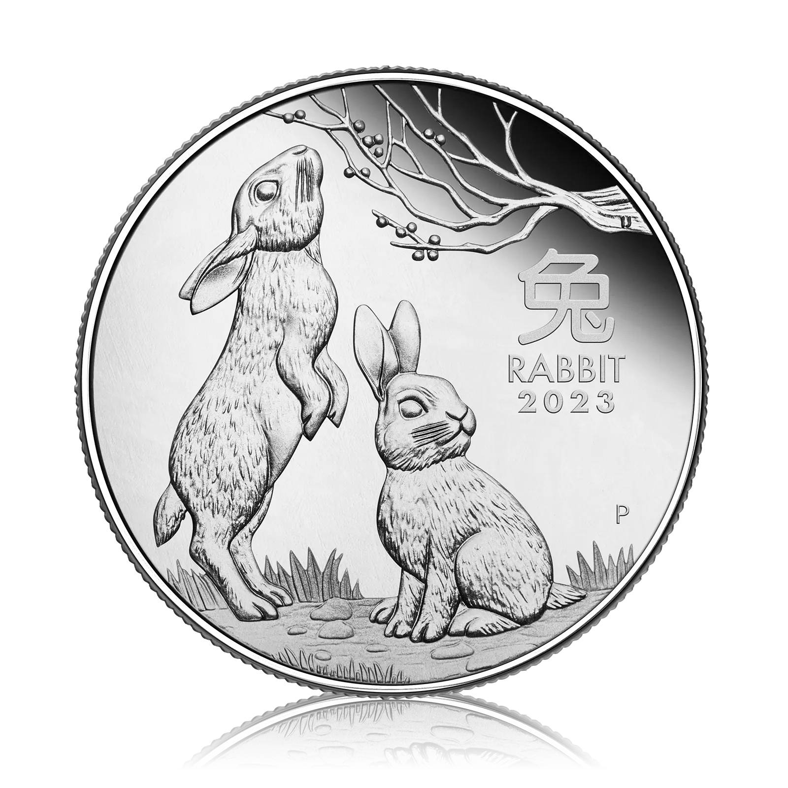 1/2oz Silver Perth Mint Year of the Rabbit (2023)